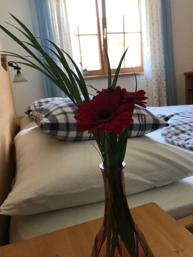 Ferienwohnung Gruber-Hansen Kaltenbach Kültér fotó
